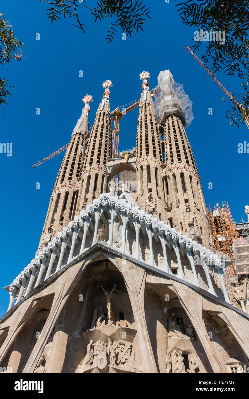 Tours de la Sagrada Familia, une grande église Barcelone, Espagne conçue par Gaudí. Banque D'Images