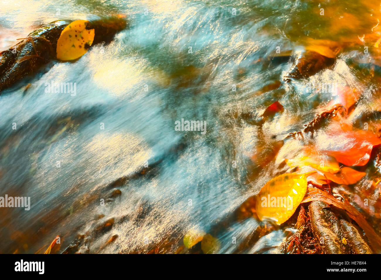 Automne feuilles de couleur reposant sur un rocher couvert de mousse avec de l'eau qui coule autour d'elle Banque D'Images