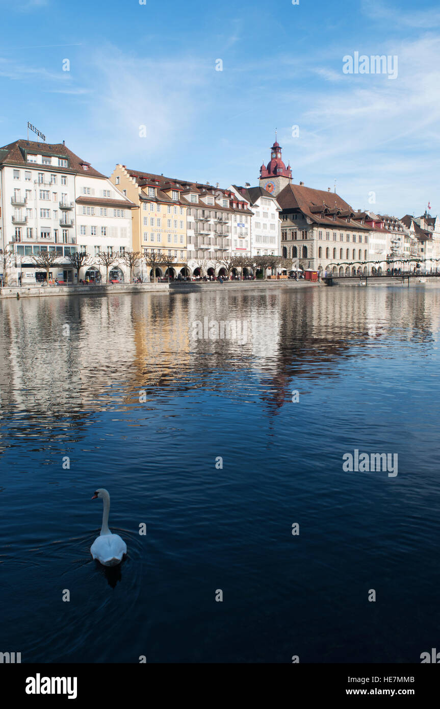 La Suisse, l'Europe : un cygne dans la rivière Reuss et vue sur les toits de la ville médiévale de Lucerne, célèbre pour ses ponts de bois couverts Banque D'Images La Suisse, l'Europe : un cygne dans la rivière Reuss et vue sur les toits de la ville médiévale de Lucerne, célèbre pour ses ponts de bois couverts Banque D'Images