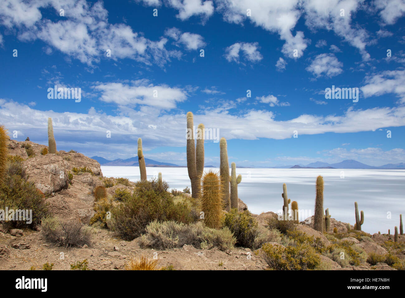 Vue sur Salar de Uyuni à partir de l'île Incahuasi Banque D'Images