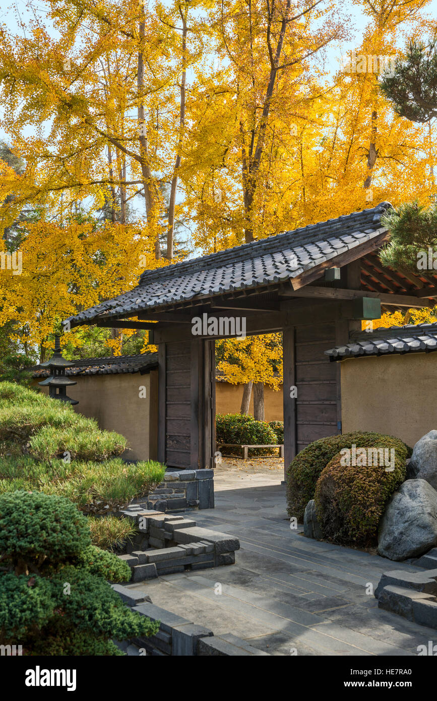 Les belles couleurs d'automne des jardins japonais dans la bibliothèque Huntington. Banque D'Images