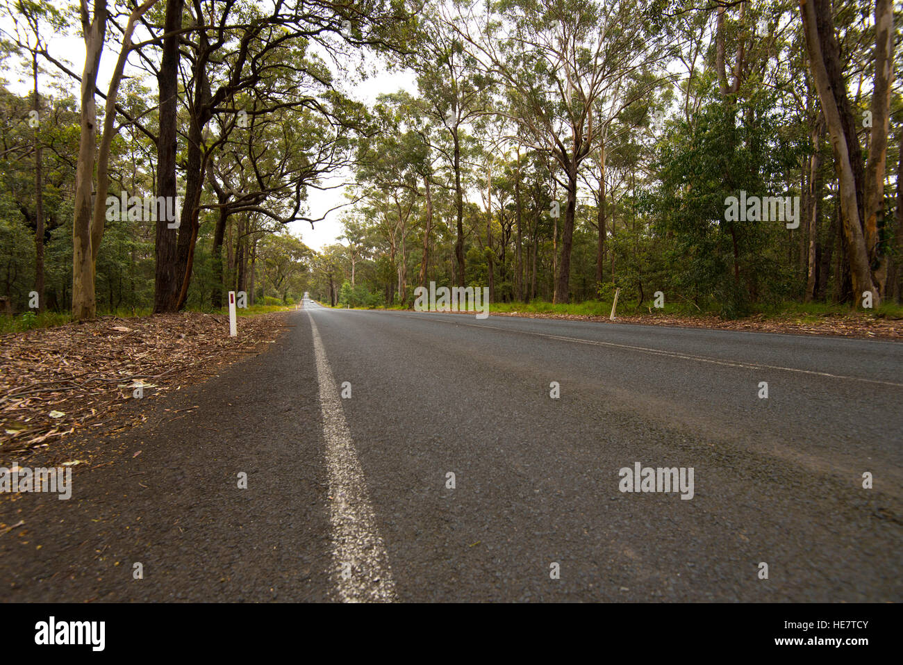Une longue ligne droite de la route de l'Australie Banque D'Images