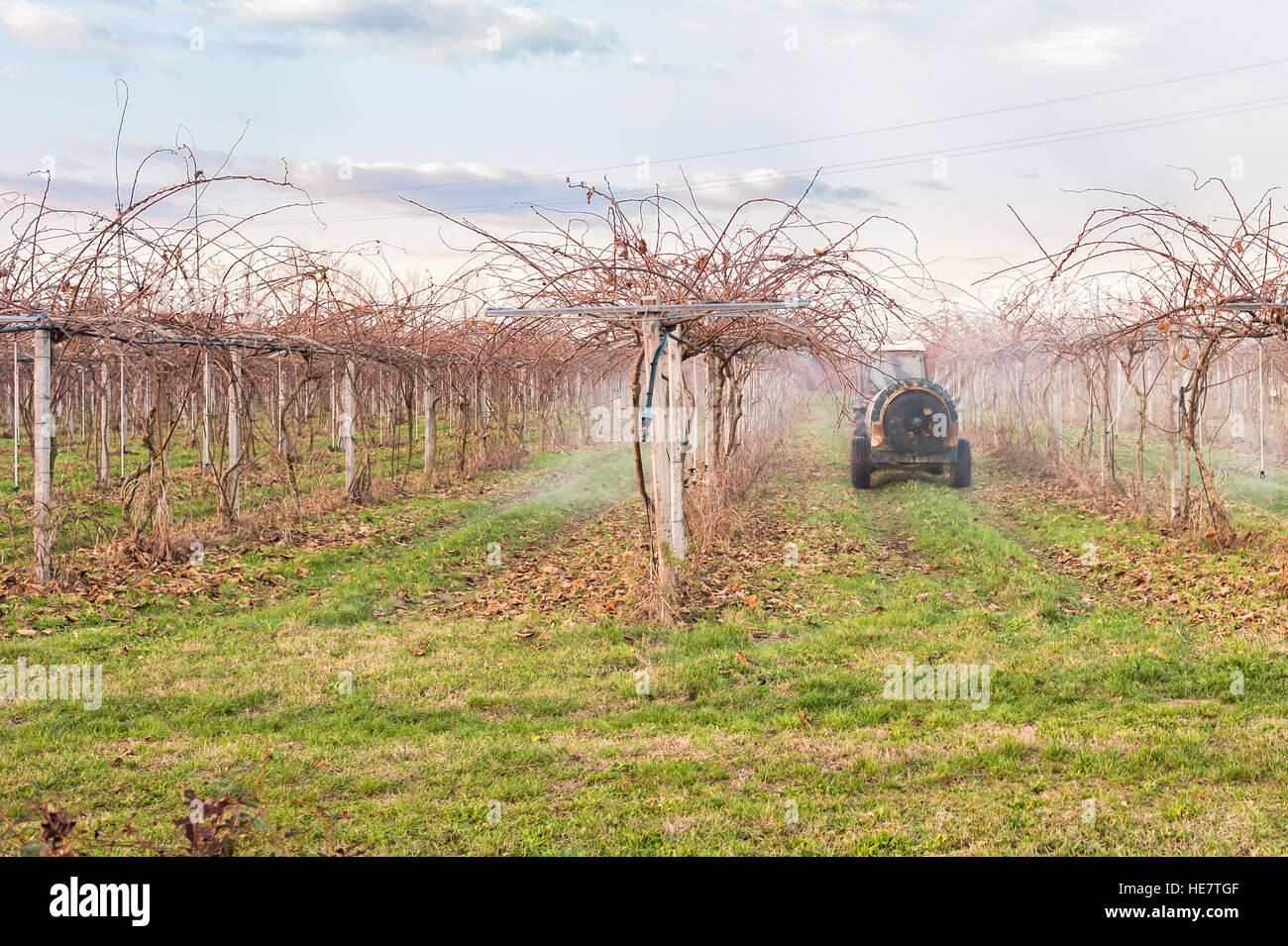 Le travail de l'agriculture. Des pesticides de traitement pour les — free download