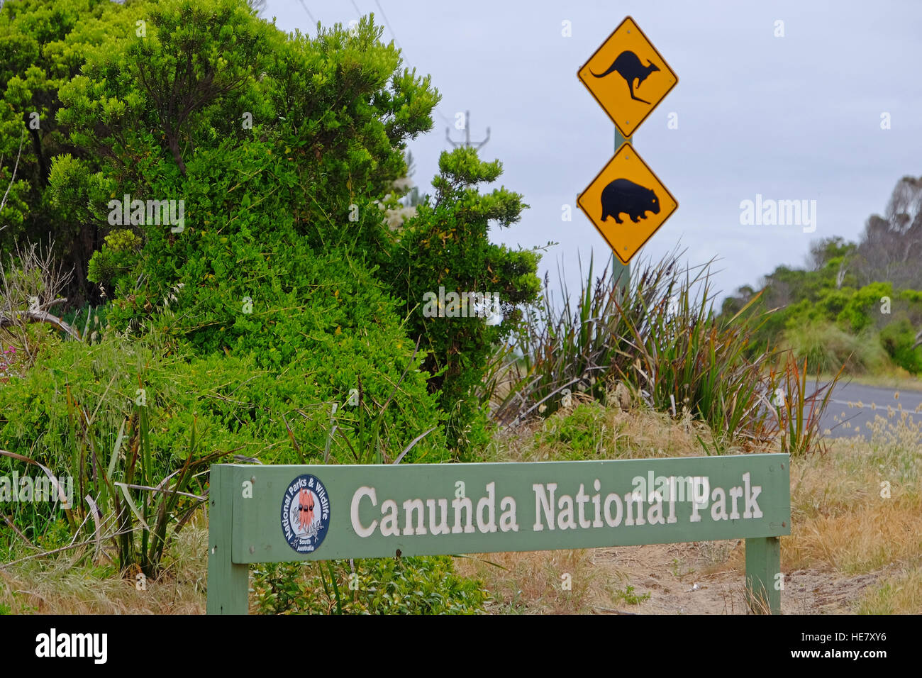 Le Canunda National Park sur la côte au sud d'Adélaïde, Australie Banque D'Images