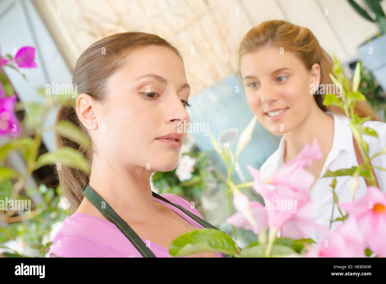 Fleuriste inattentif Banque D'Images