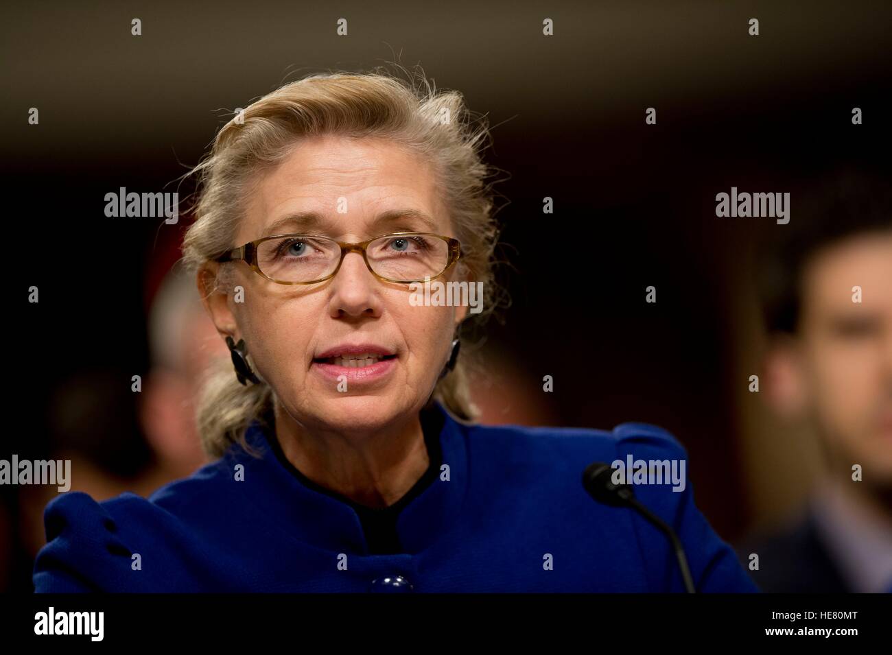 Le sous-secrétaire par intérim des États-Unis de la Défense Christine Fox témoigne devant la Commission des forces armées du Sénat à l'immeuble de bureaux du Sénat Dirksen, 28 janvier 2014 à Washington, DC. Banque D'Images