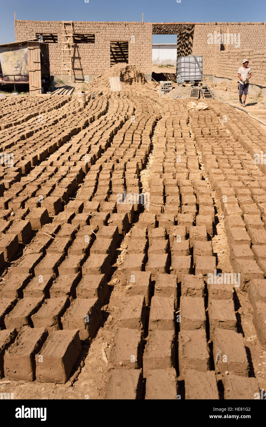 Des briques de boue layed dehors au soleil pour sécher à la maison site de construction près de Shymkent Kazakhstan Banque D'Images