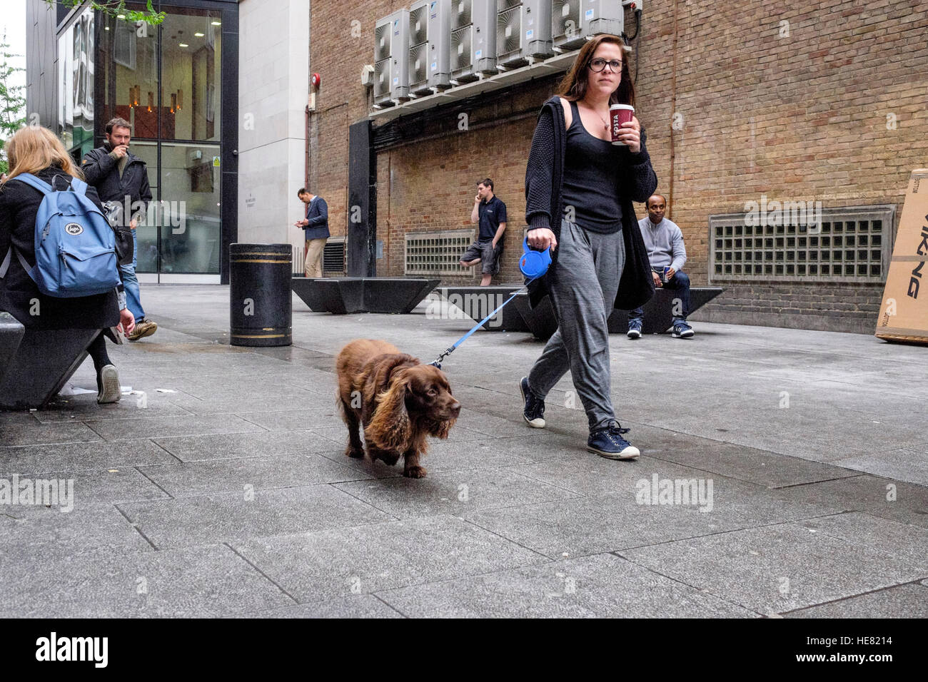 Une femme jouit d'un café à emporter tout en tenant son chien pour une promenade. Banque D'Images