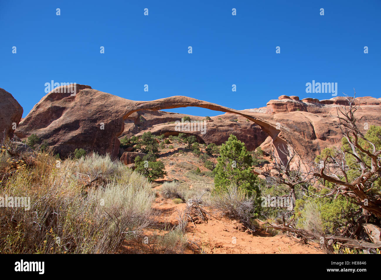 Célèbre landscape arch dans le Arches National Park, Utah, USA Banque D'Images