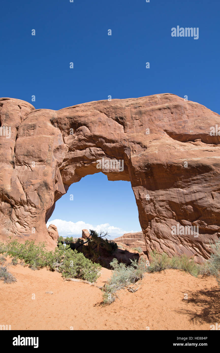Pin célèbre arch dans le Arches National Park, Utah, USA Banque D'Images