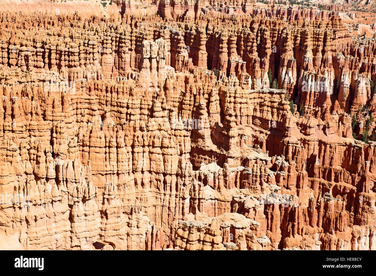 Le parc national de Bryce Canyon dans l'Utah, USA Banque D'Images