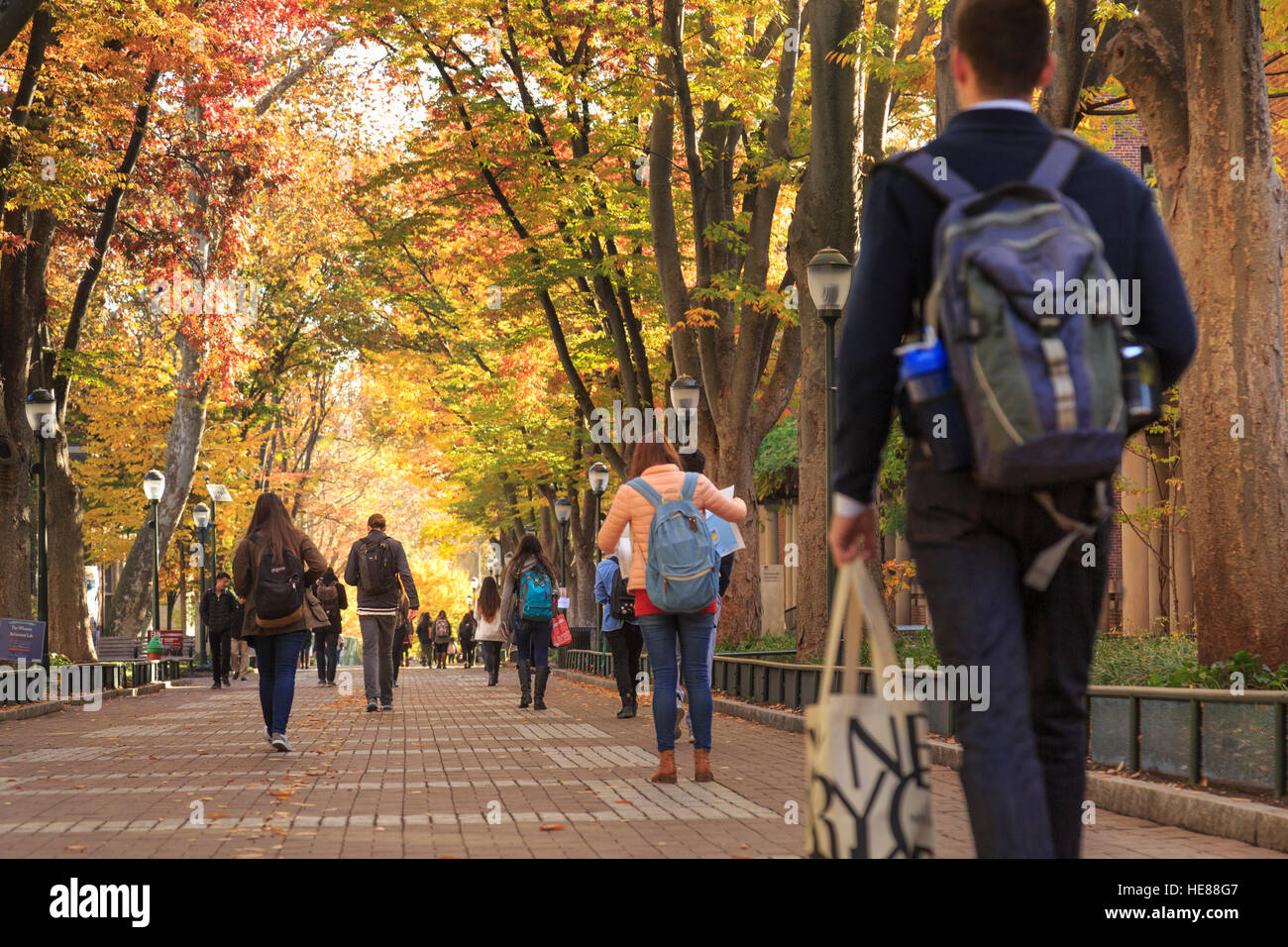 Locust à pied avec une foule d'étudiants à l'automne sur le campus de l'Université de Pennsylvanie, Université Ville, Philadelphie, PA, USA Banque D'Images