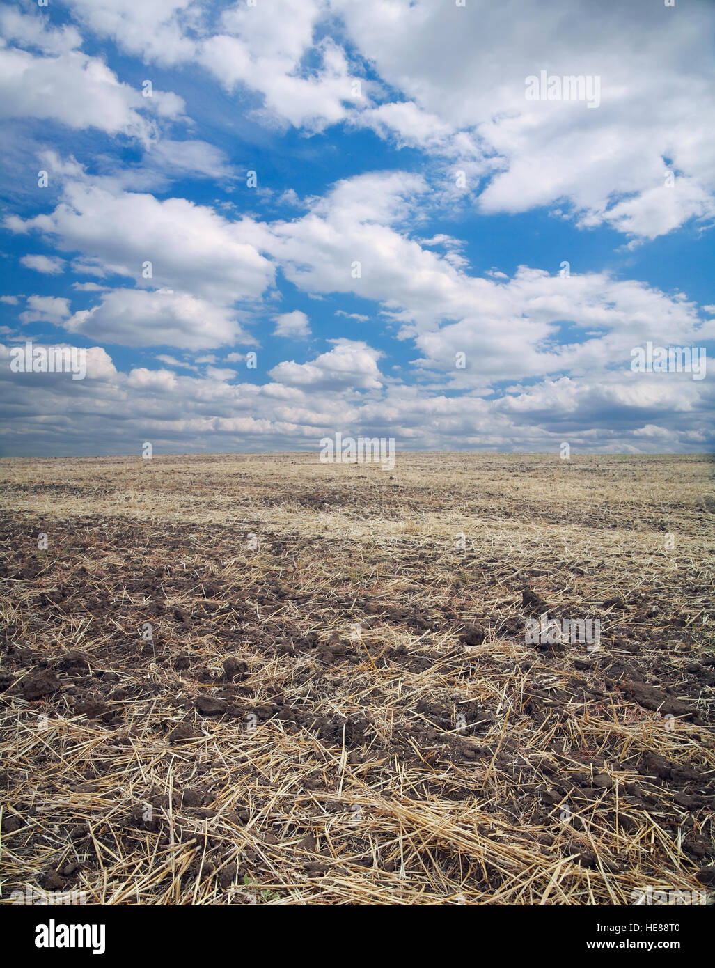 Champ arable contre le ciel avec des nuages Banque D'Images