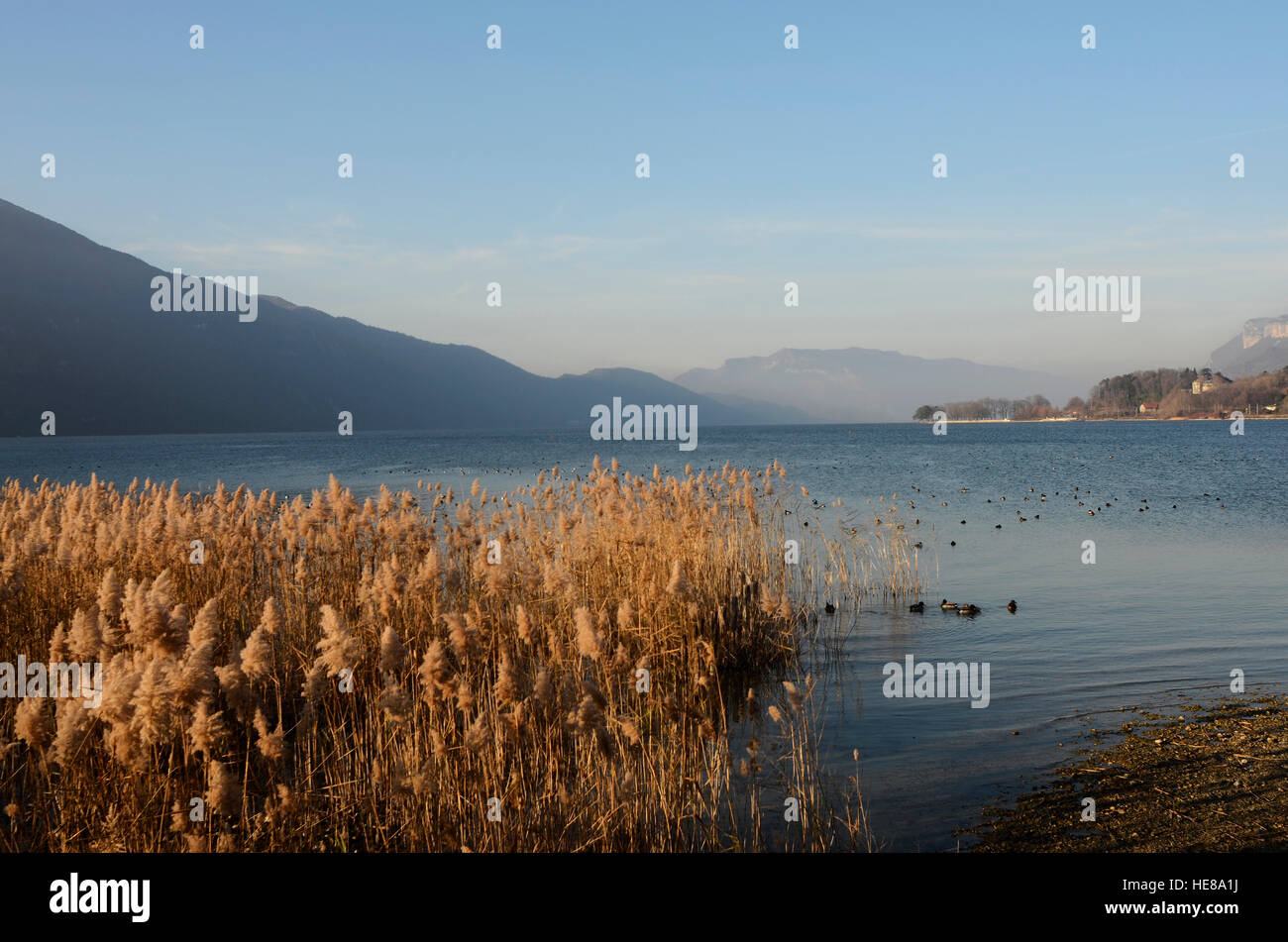 Lac du bourget Banque de photographies et d'images à haute résolution -  Alamy