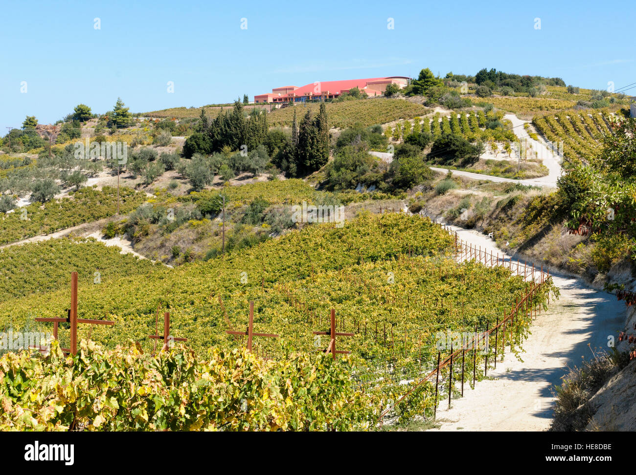 Domaine Helios Winery, Nemea, péninsule du Péloponnèse, Grèce Banque D'Images