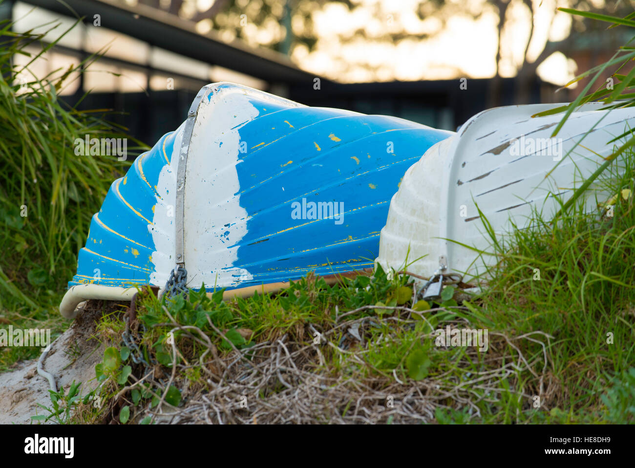 Deux dinghies tournées se trouvent dans l'herbe sablonneuse au bord de l'eau sur la côte sud de la Nouvelle-Galles du Sud en Australie Banque D'Images