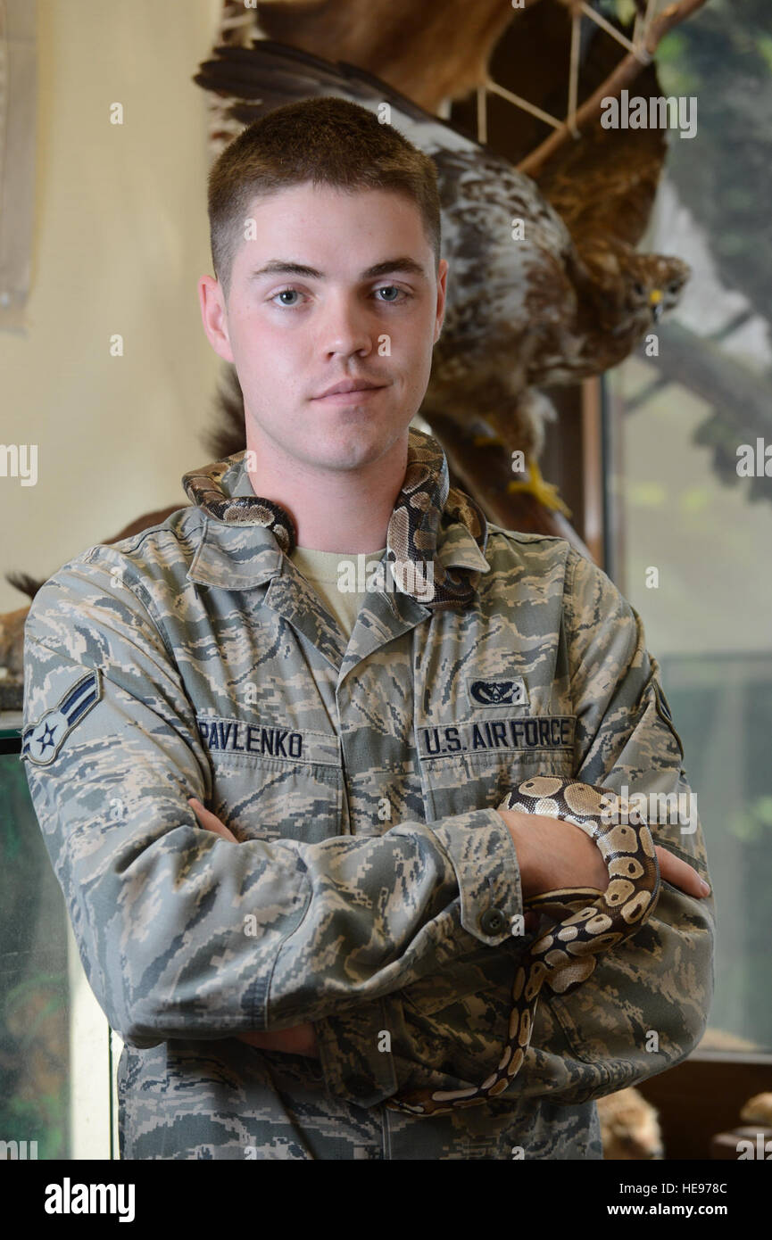 La BASE AÉRIENNE DE SPANGDAHLEM, en Allemagne ? ? ? U.S. Air Force d'un membre de la 1re classe Dustin Pavlenko, 52e Escadron de génie civil contrôleur ravageurs de Moorcroft, Wyo., détient deux pythons balle mâle confisqués le 16 juillet 2013. À l'occasion des insectes nuisibles, sensibiliser les enfants d'âge scolaire sur les animaux autour de la communauté et comment certains de ces animaux peuvent être dangereux. Kyle Gese Navigant de première classe Banque D'Images