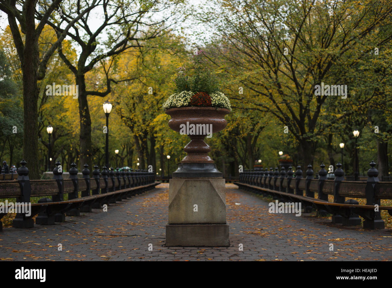 Central Park NEW YORK, NY à l'automne Banque D'Images