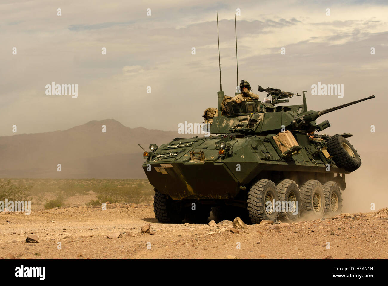 Un U.S. Marine Corps Véhicule blindé léger de la Compagnie Alpha, 2e Bataillon de reconnaissance blindé léger, 2e Division de marines Camp Lejeune, N.C., se prépare pour un assaut sur une cible au cours de l'exercice 3-15 à la formation intégrée Marine Corps Air Ground Combat Center (MCAGCC) Twentynine Palms, Californie, le 19 mai 2015. MCAGCC mène de tir réel pertinents interarmes, les opérations urbaines, et des articulations ou de la coalition qui favorise la formation d'intégration au niveau de l'état de préparation des forces opérationnelles. Airman Christopher J. Dyer/ libéré) Banque D'Images