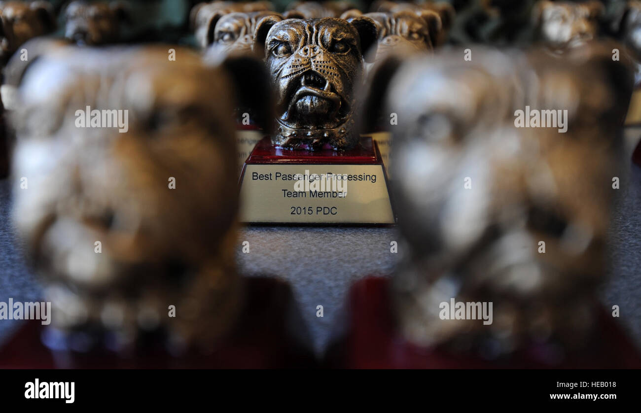 Trophées individuels sont en exposition à l'occasion des cérémonies d'avant le début de la contestation à Port Dawg Dobbins Air Reserve Base, Ga., 16 juin 2015. Le port a été créé Défi Dawg pour améliorer et maintenir l'esprit de camaraderie, l'esprit de corps et le prestige de port aérien tout en favorisant le professionnalisme des aviateurs, le leadership, la formation et la communication entre "Port Dawgs.' Tech Sgt. Stephen D. Schester Banque D'Images