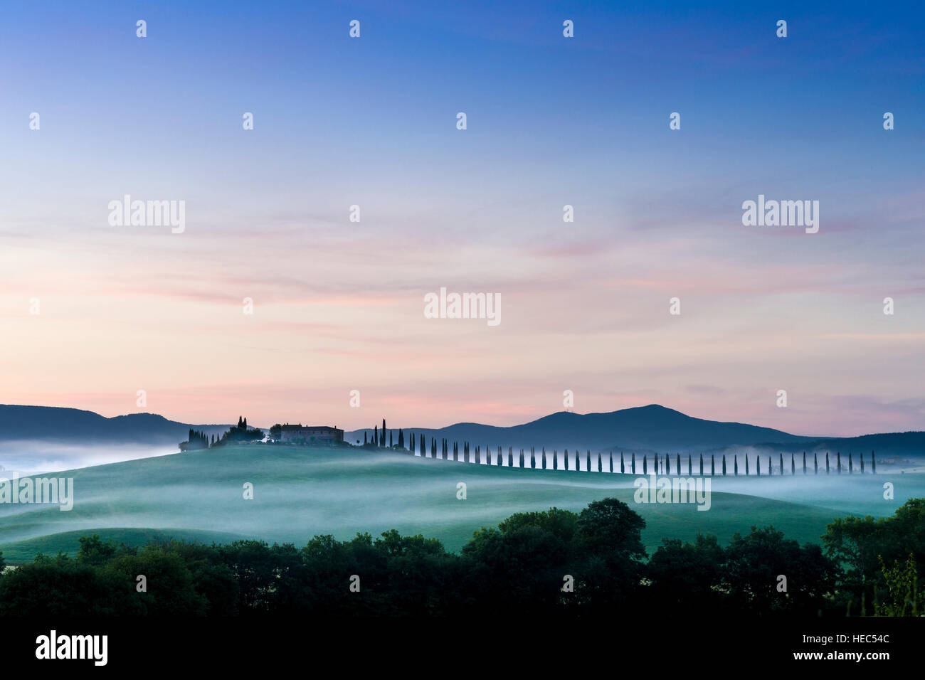 Vert typique toscane paysage en Bagno Vignoni, Val d'Orcia avec une ferme sur une colline, les champs, les cyprès, les arbres et le brouillard du matin avant le lever du soleil Banque D'Images