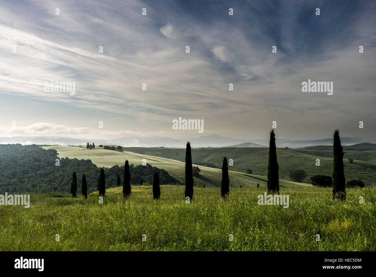 Vert paysage typique de la toscane en val d'orcia avec une ferme et une petite chapelle sur une colline, les champs, les cyprès, les arbres et le brouillard du matin au lever du soleil Banque D'Images