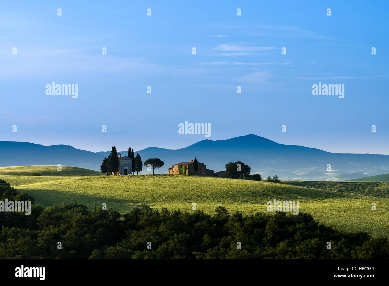 Vert paysage typique de la toscane en val d'orcia avec une ferme et une petite chapelle sur une colline, champs, cyprès, arbres et ciel nuageux, bleu Banque D'Images