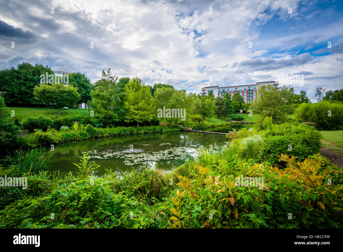 Au parc du Lac Symphonie, à Charlotte, Caroline du Nord. Banque D'Images