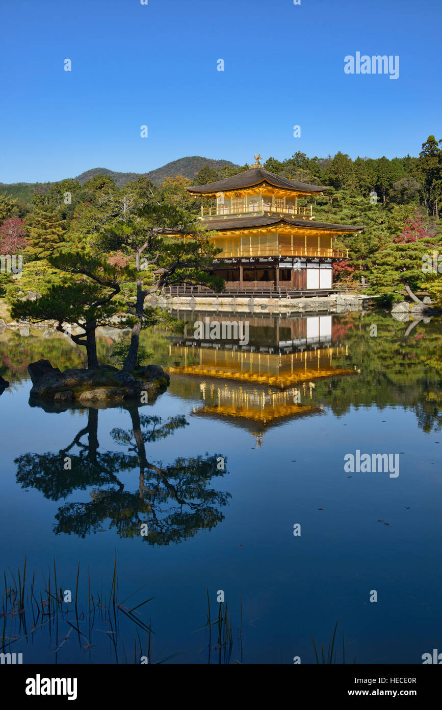 Le Kinkaku-ji, le temple du pavillon d'or, Kyoto, Japon Banque D'Images