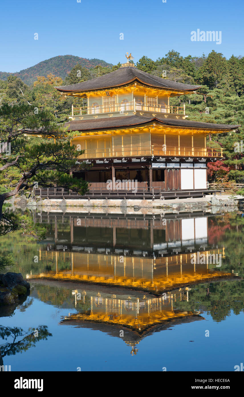 Le Kinkaku-ji, le temple du pavillon d'or, Kyoto, Japon Banque D'Images