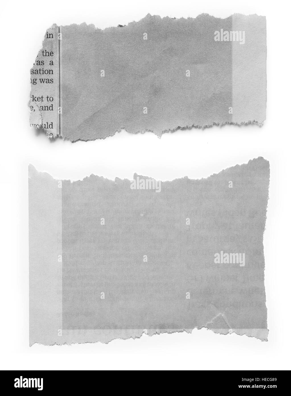 Morceaux de papier déchiré sur fond uni Banque D'Images