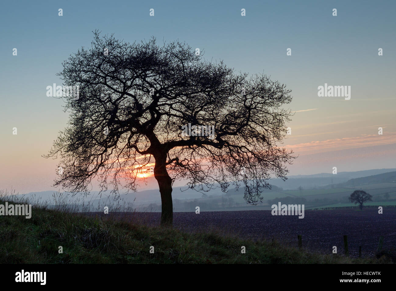 Oxton, Dorset, UK. 18Th Oct, 2016. Coucher de soleil sur les Alpes à la veille du solstice d'hiver. © Ian Francis/Alamy Live News Banque D'Images