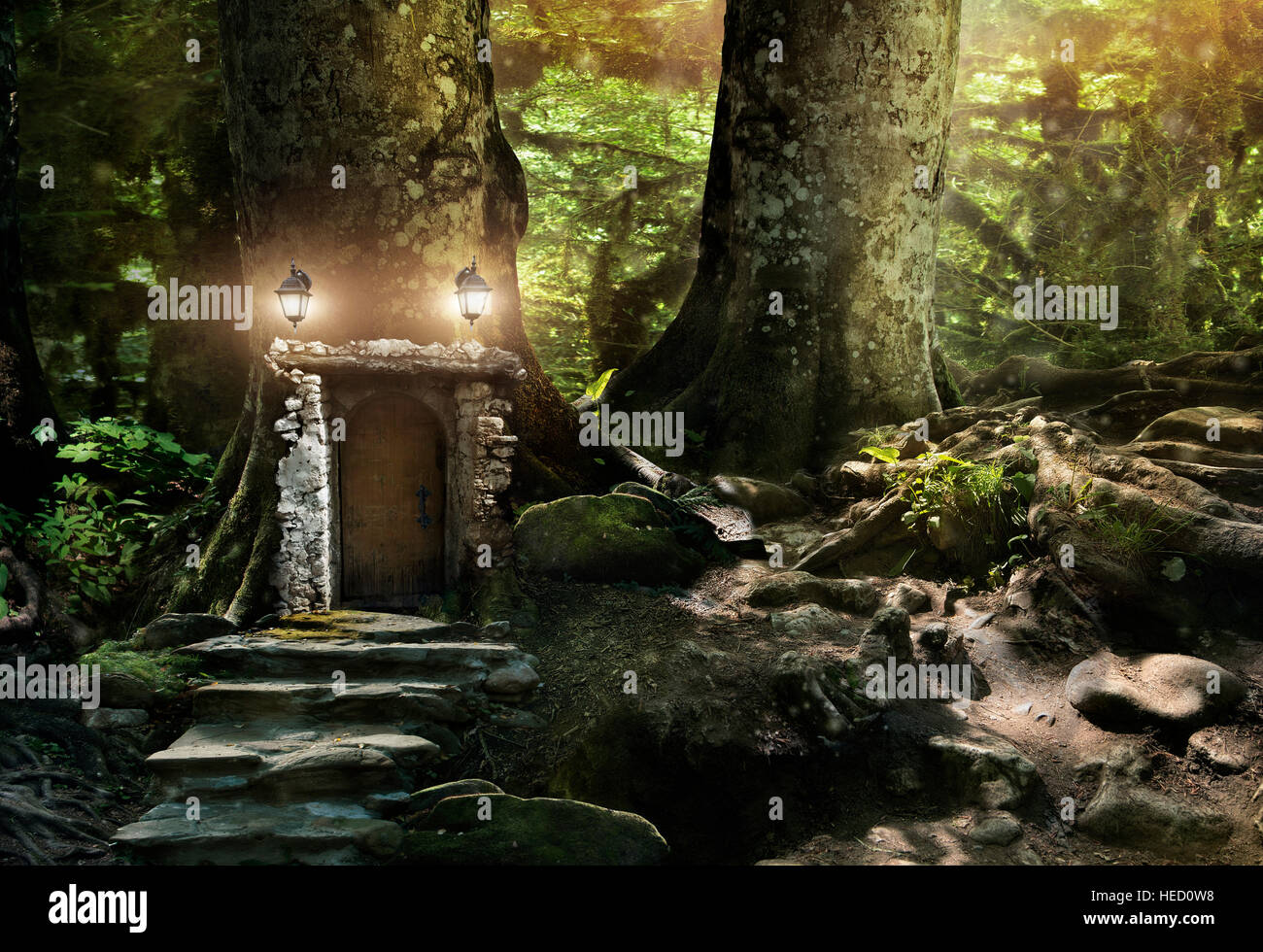 Soir dans la forêt féerique. Magic fantasy world Banque D'Images