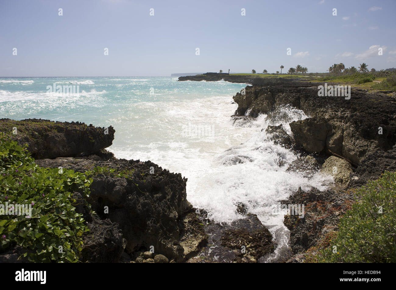 Surf se brisant sur les rochers, République dominicaine, Caraïbes Banque D'Images