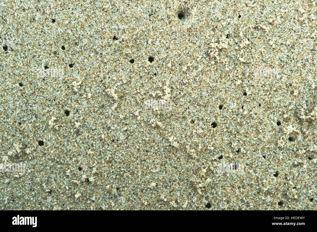 Le sable de la mer, port du sable, du sable coloré, plage de sable, plage de sable, sable de couleur Banque D'Images