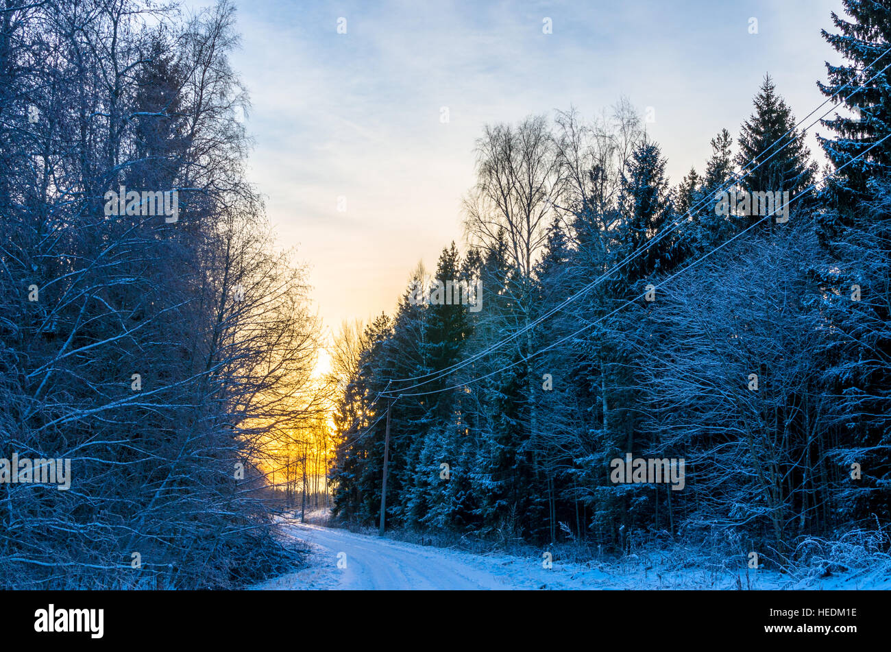 La neige un chemin dans la forêt vers un coucher de soleil orange Banque D'Images