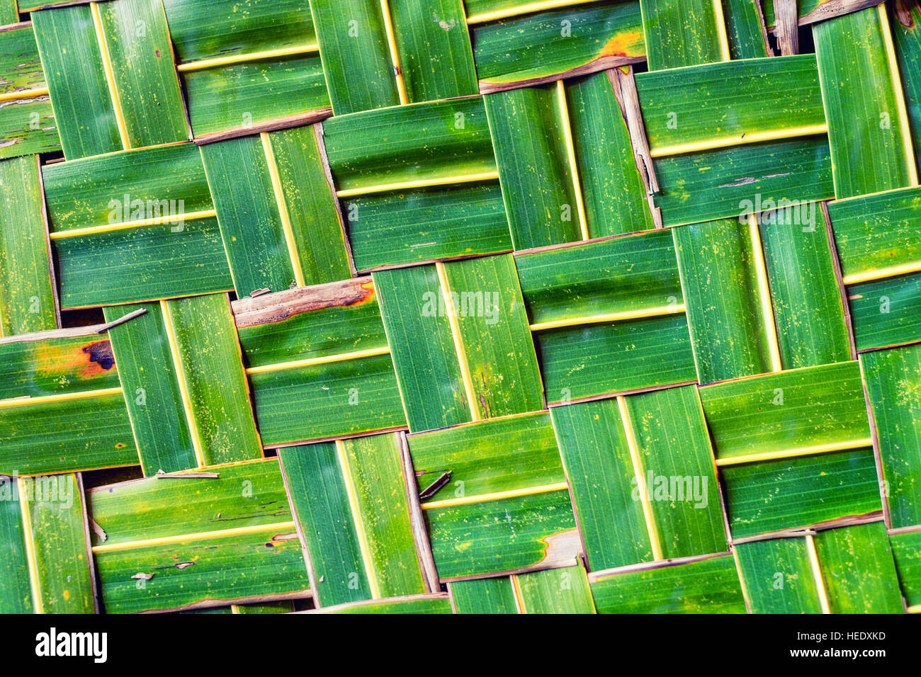La texture des feuilles de cocotier vert tissé Banque D'Images