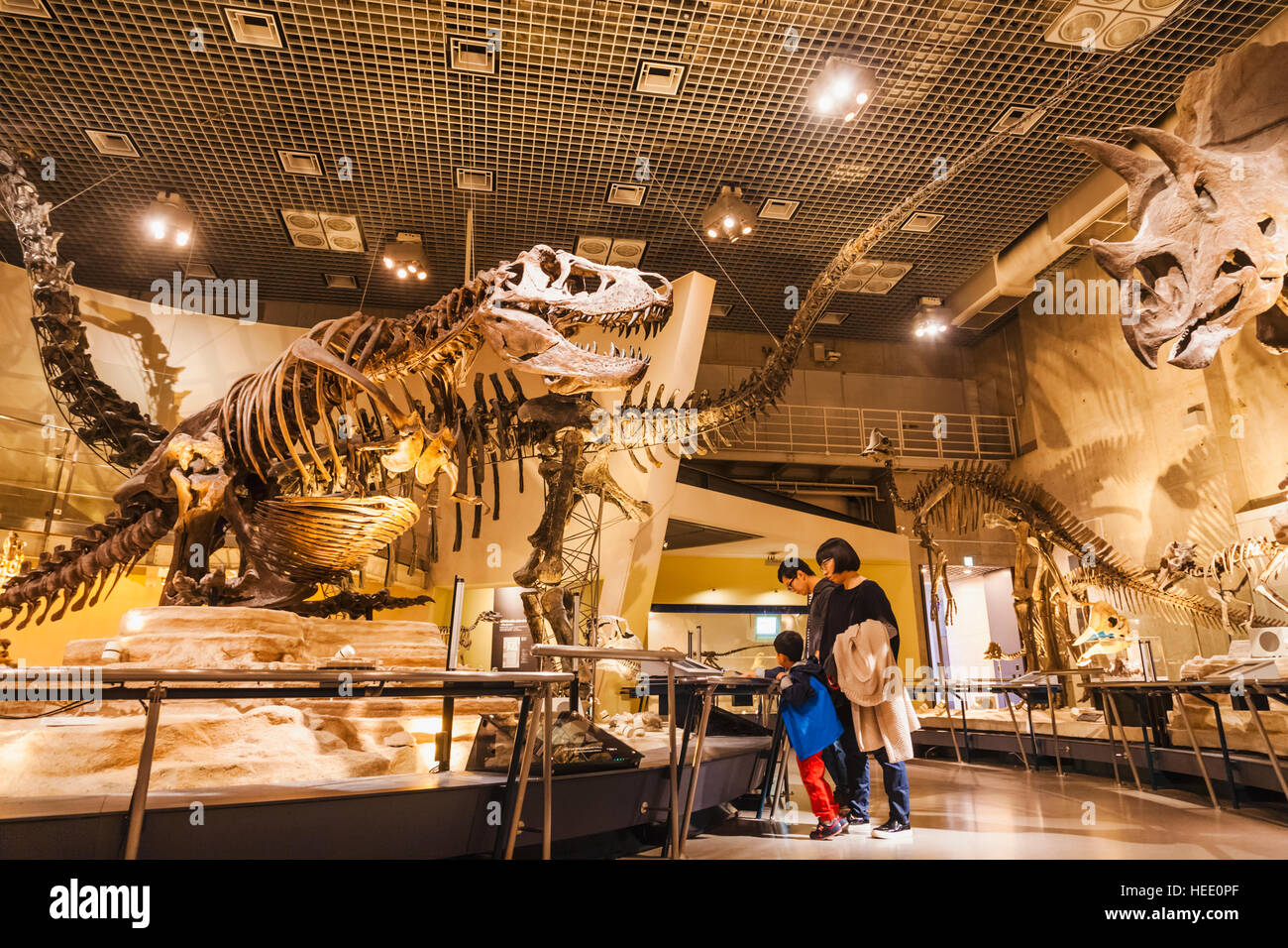Le Japon, Honshu, Tokyo, Ueno Park, Musée National de la nature et de la Science, expositions de dinosaures Banque D'Images