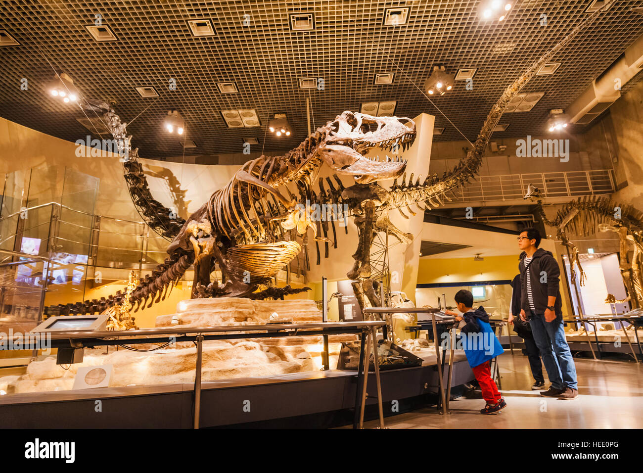 Le Japon, Honshu, Tokyo, Ueno Park, Musée National de la nature et de la Science, expositions de dinosaures Banque D'Images