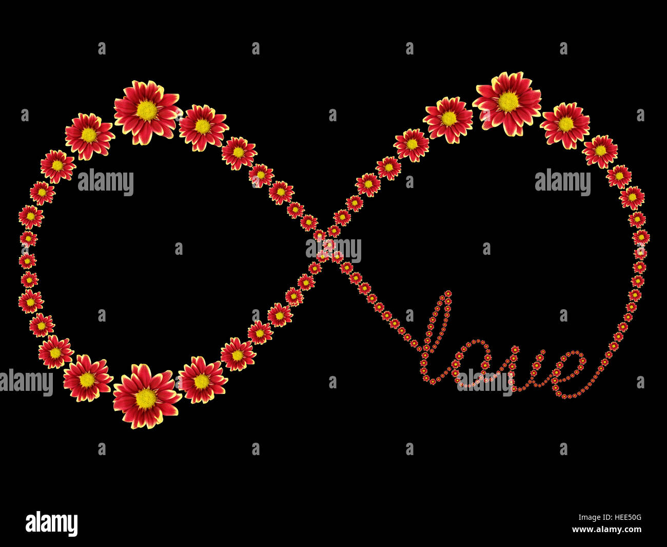 Symbole de l'infini de fleur rouge et de l'amour texte isolé sur fond noir. Enregistré avec clipping path Banque D'Images