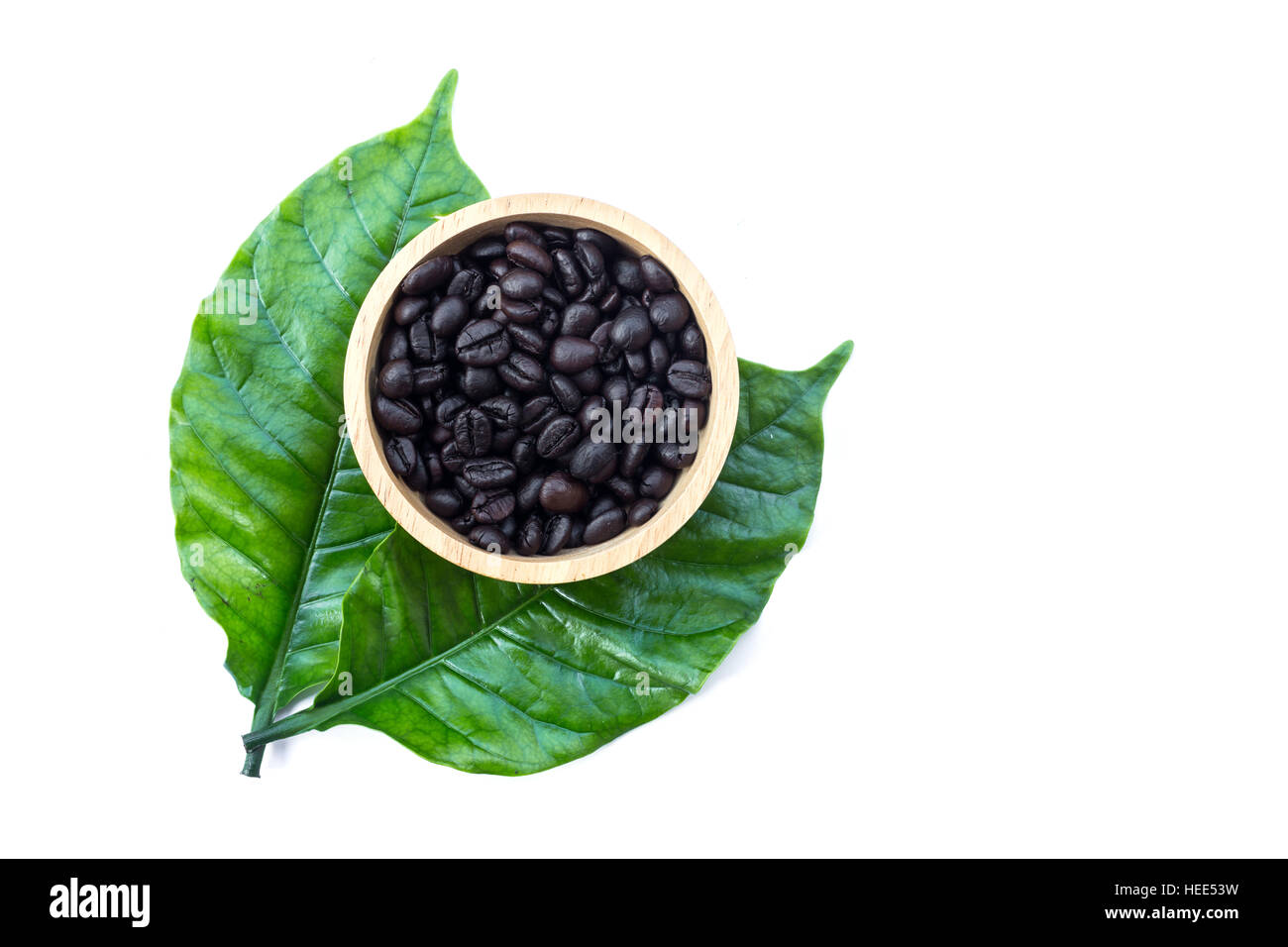 Vue de dessus le café vert feuille d'arbre isolé sur fond blanc Banque D'Images