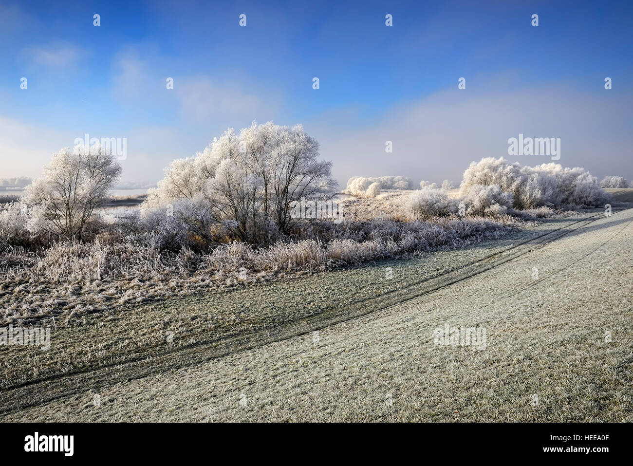 Paysage d'hiver de l'Elbe à Hambourg, Allemagne, Europe Banque D'Images