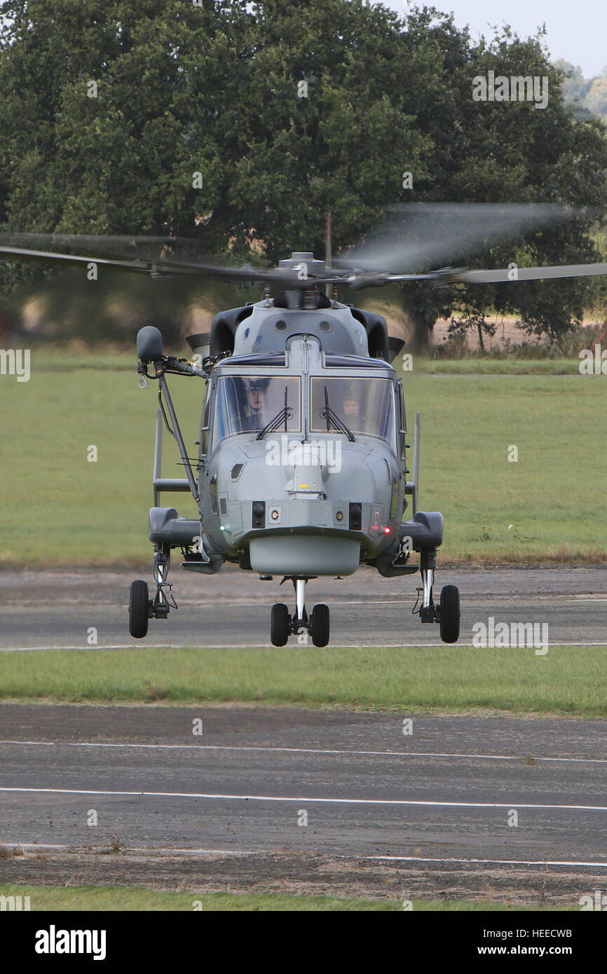 Aw159 lynx wildcat hma2 zz379 hélicoptère de la Royal Navy, le lynx lynx wildcat est le remplacement de l'hma8 rn en service. Banque D'Images