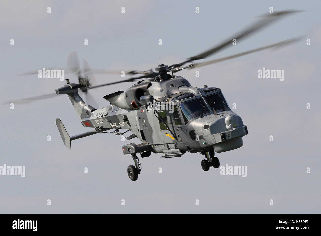 Aw159 lynx wildcat hma2 zz379 hélicoptère de la Royal Navy, le lynx lynx wildcat est le remplacement de l'hma8 rn en service. Banque D'Images