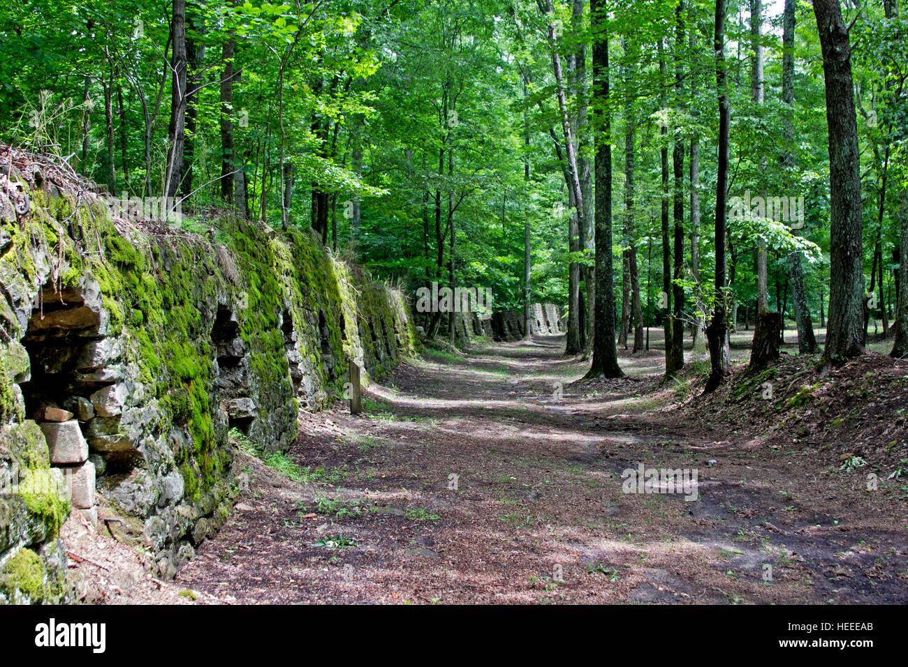 Vision à long terme de certains fours ruche abandonnée au Parc Historique Dunlap des fours à coke de charbon utilisé pour tourner Tennessee en coke combustible. Banque D'Images