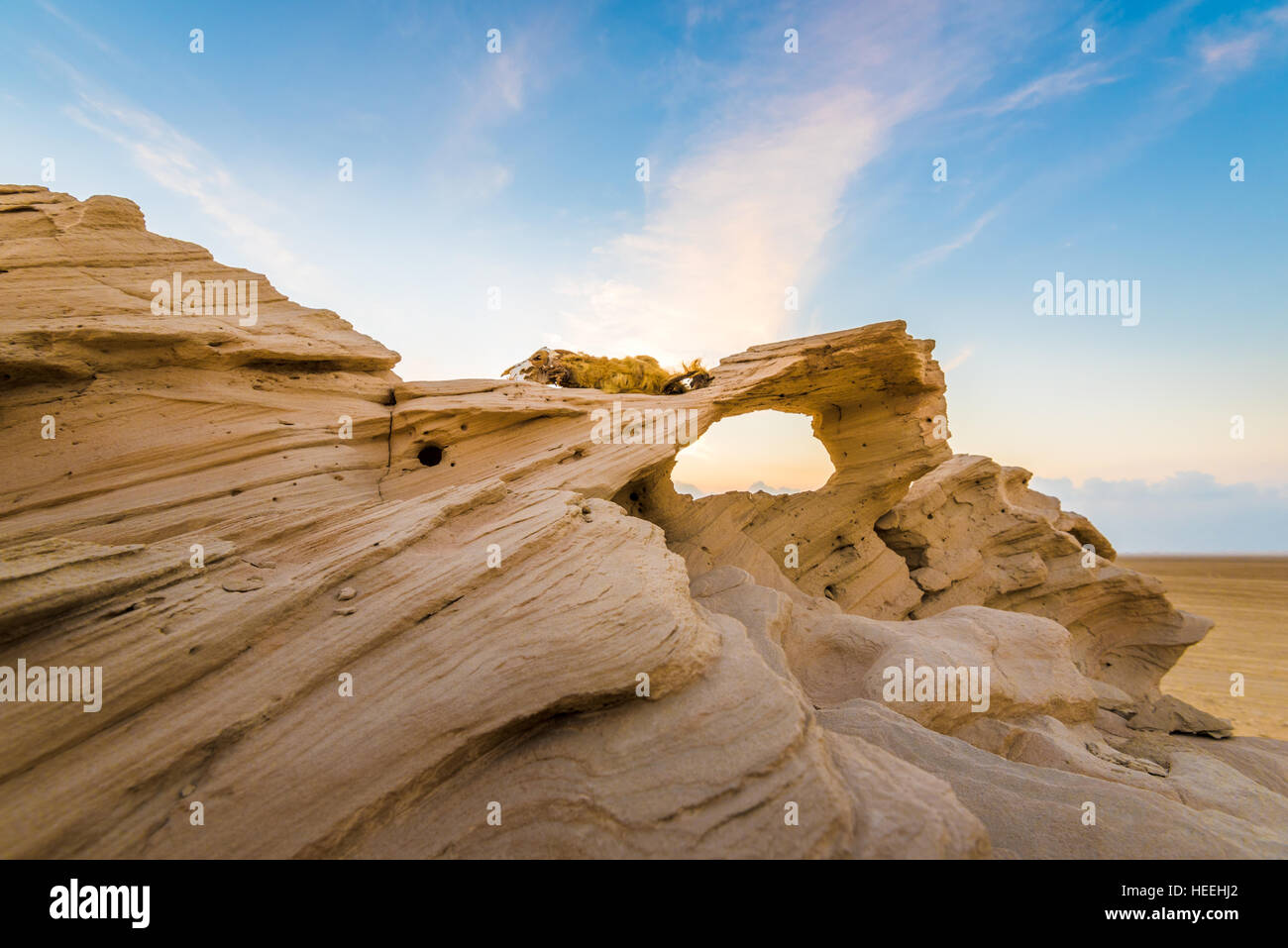 Les dunes fossiles, Abu Dhabi, UAE Banque D'Images