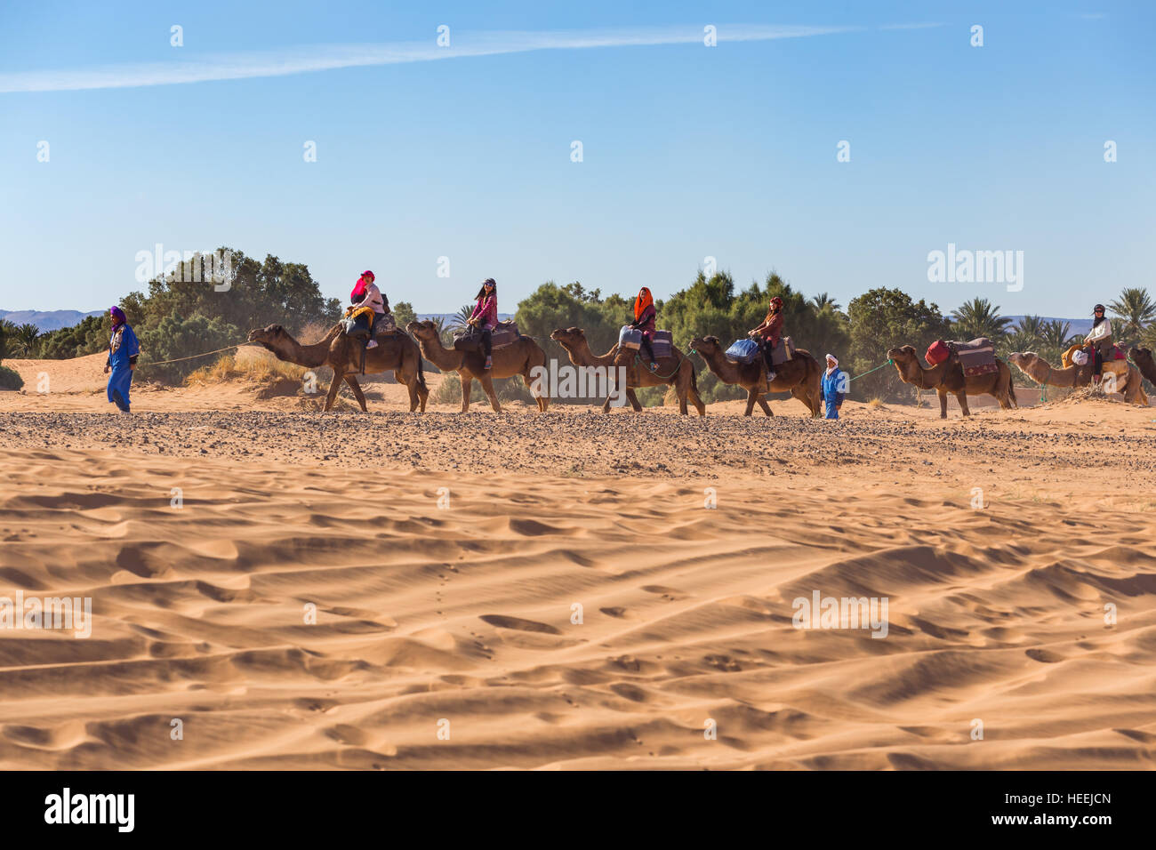 Dunes de sable, désert du Sahara, l'Erg Chebbi, Merzouga, Maroc Banque D'Images