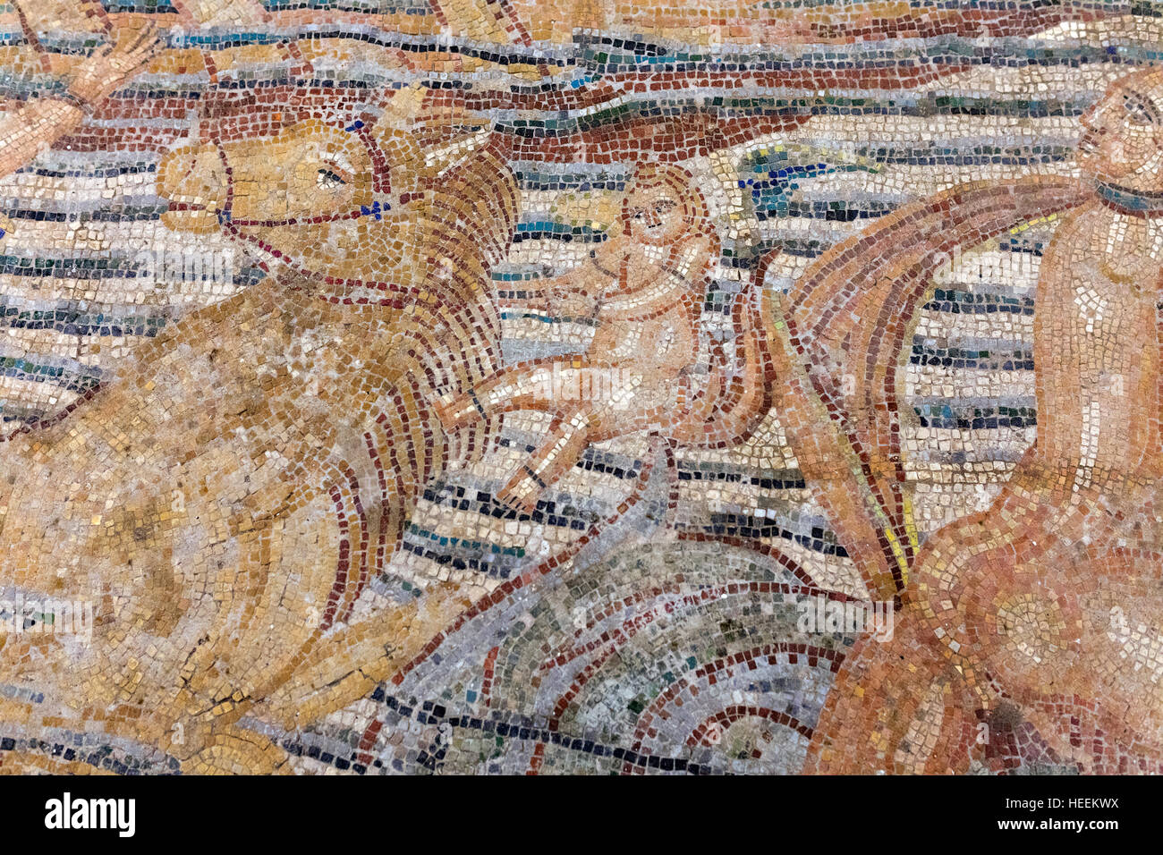 Le voyage de Vénus, mosaïque romaine de Volubilis, Musée des arts marocains et des antiquités, Tanger, Maroc Banque D'Images