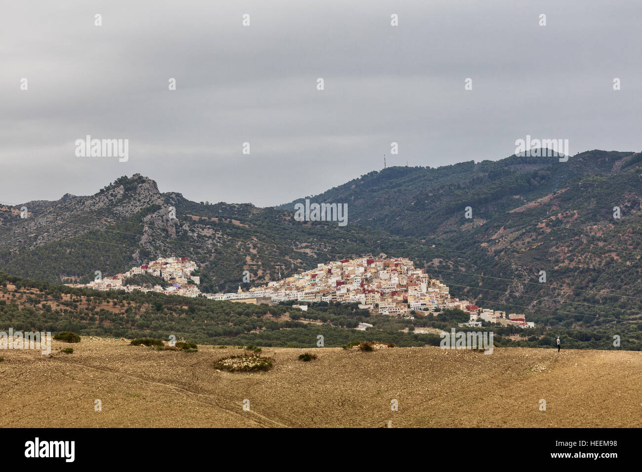 Vue de la ville, Moulay Idriss, Maroc Banque D'Images