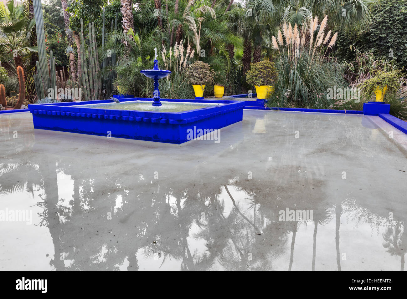 Le jardin Majorelle, Marrakech, Maroc Banque D'Images